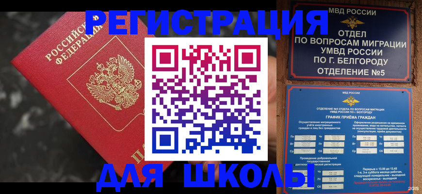 временная прописка в Мончегорске